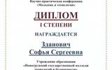 Новогрудчский гос колледж технологий и безопасности - 0002